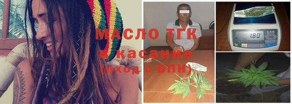 прущие грибы Волоколамск