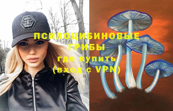 соль курить ск Вяземский