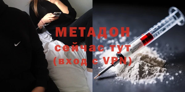 прущие грибы Волоколамск
