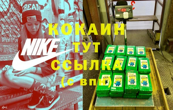 гашик Вязники