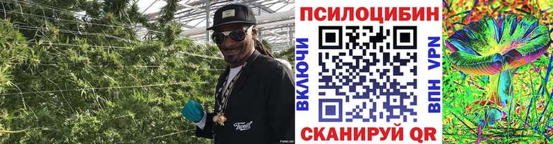 Псилоцибиновые грибы Magic Shrooms  где можно купить   Добрянка 